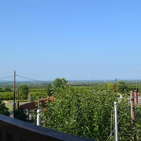 Guest house Pension Vergina 3*