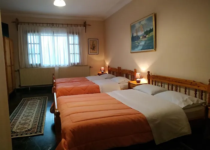 Pension Vergina 3* فيرغينا